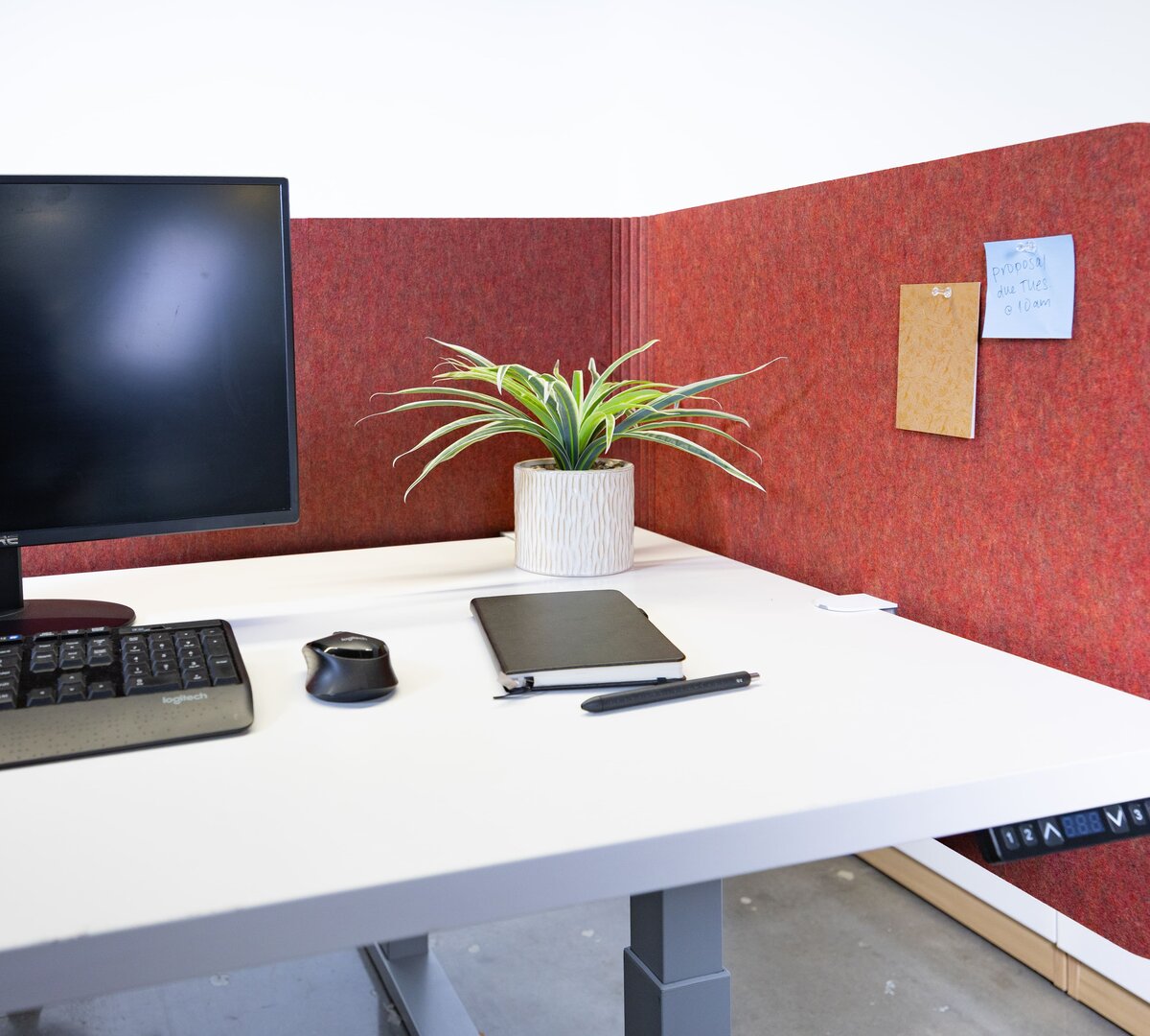 Arc |  | Loftwall 